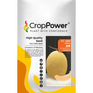 [AGRI INPUT] Melon Kirin ML 1688